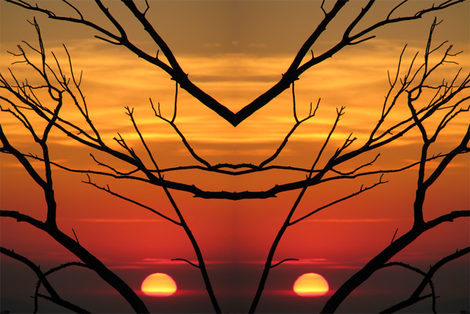 January sunset & branches, side-by-side