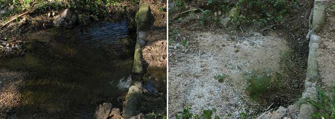 creek comparison (February & July)